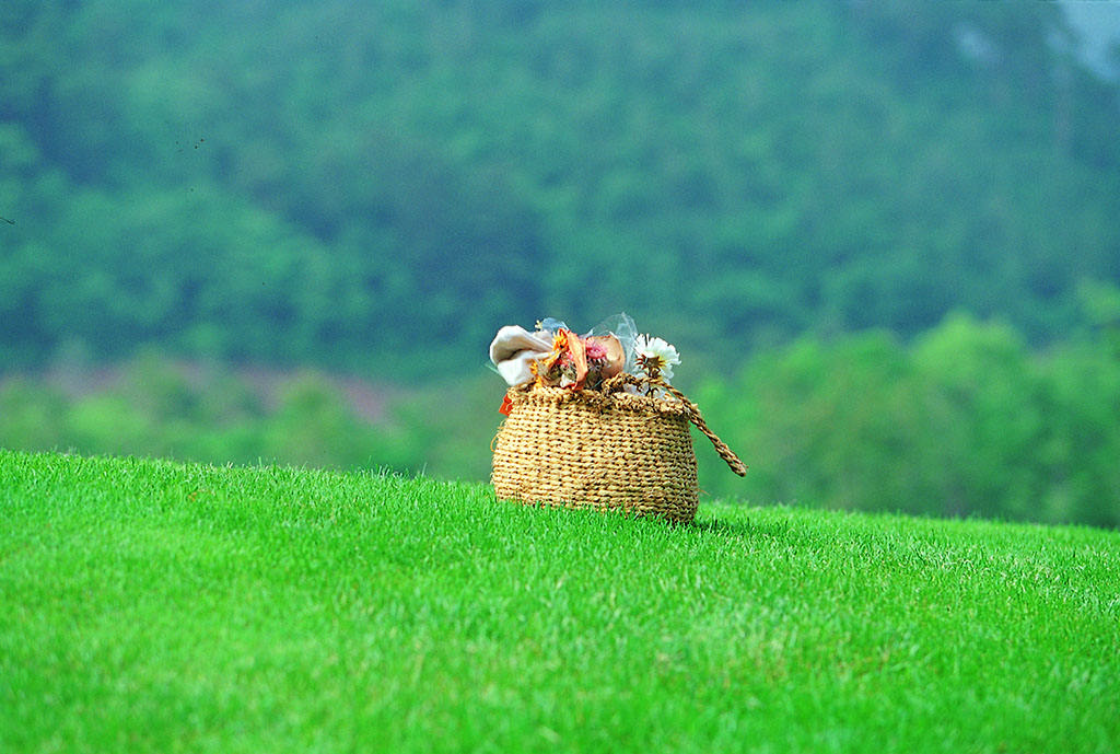 微商系统兴起的由来